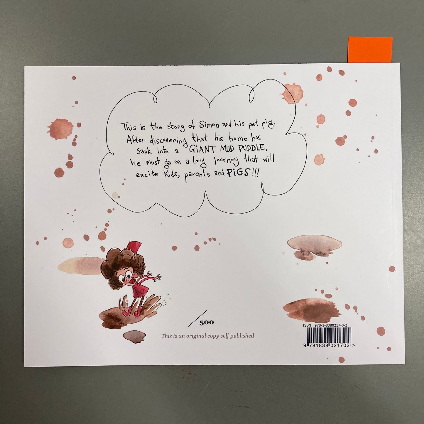 There’s Mud Puddles Everywhere!