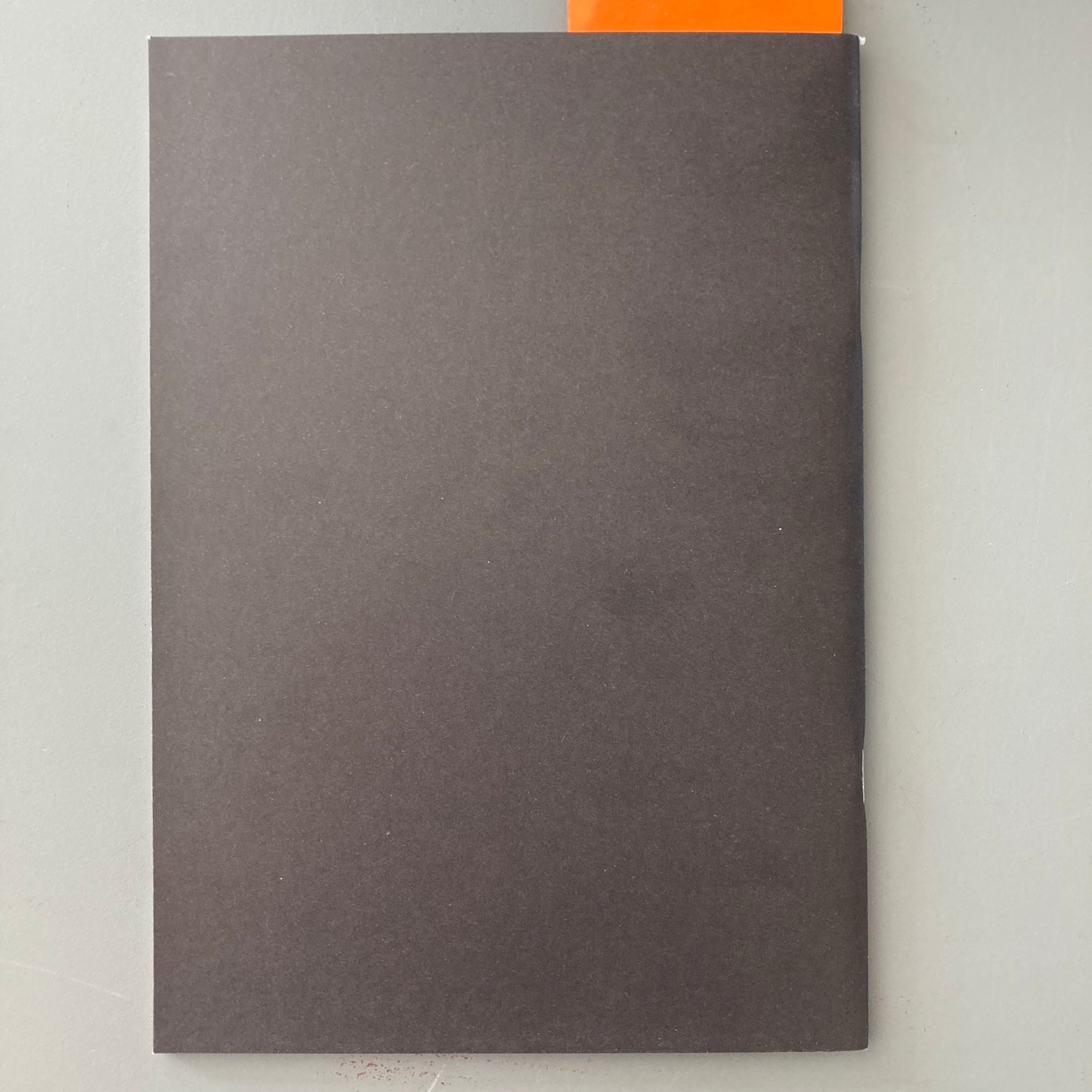 Beneath the Dead Oak Tree