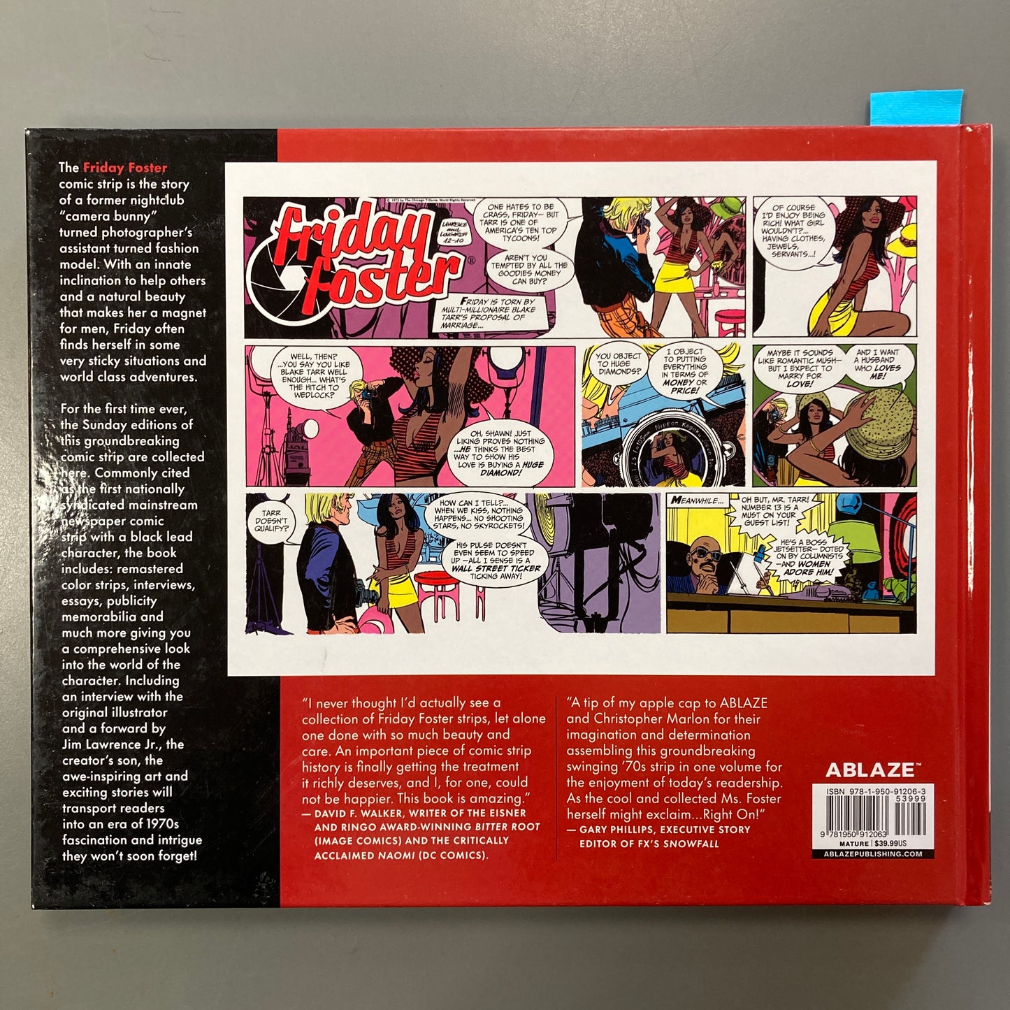 Friday Foster: The Sunday Strips