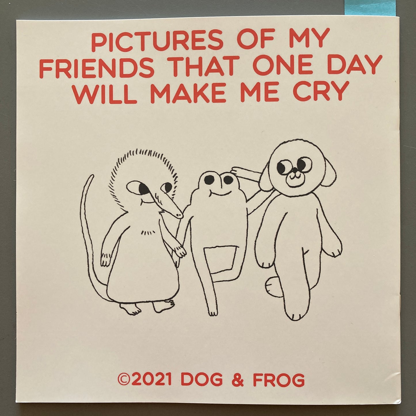 Pictures of My Friends That One Day Will Make Me Cry