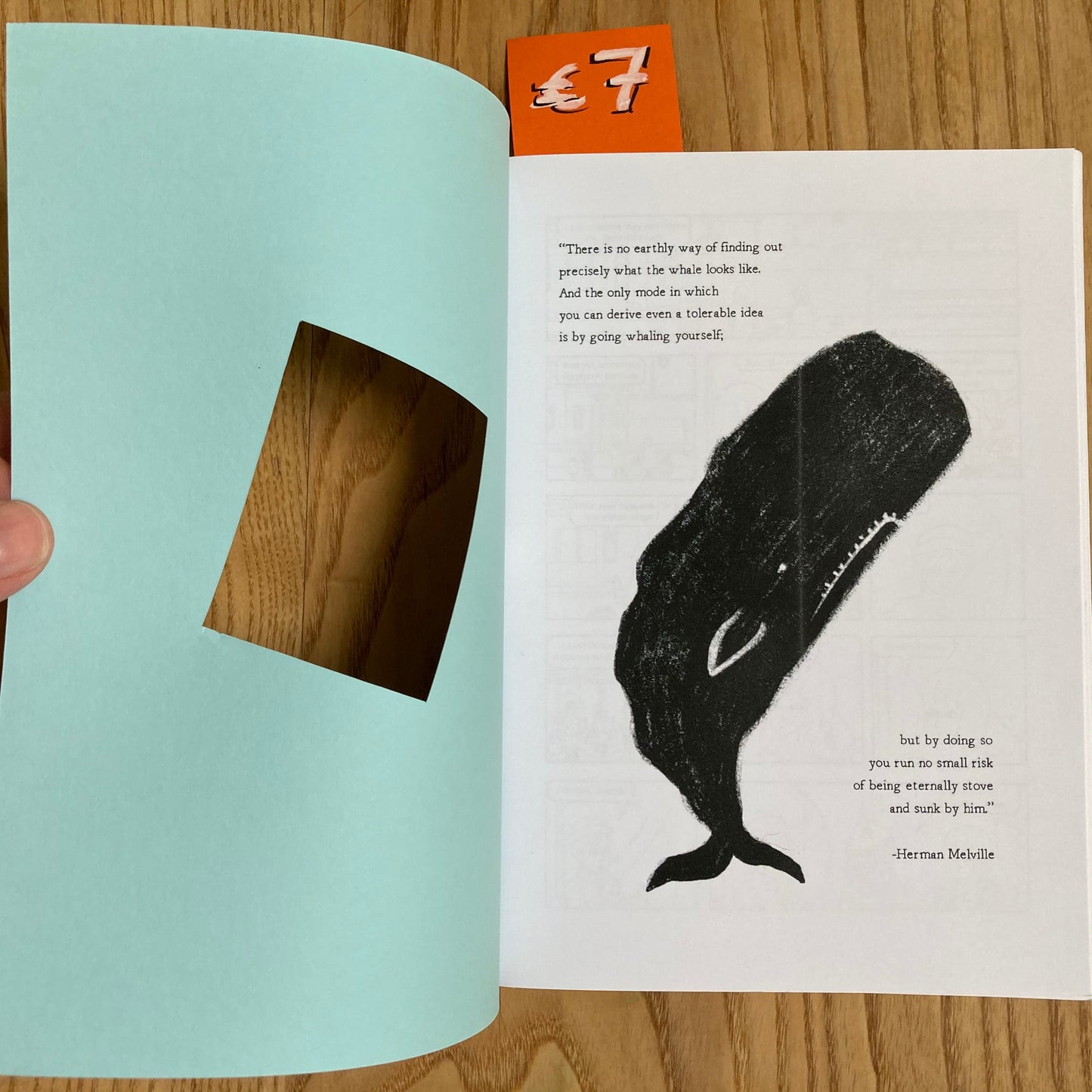 Of The Monstrous Pictures Of Whales