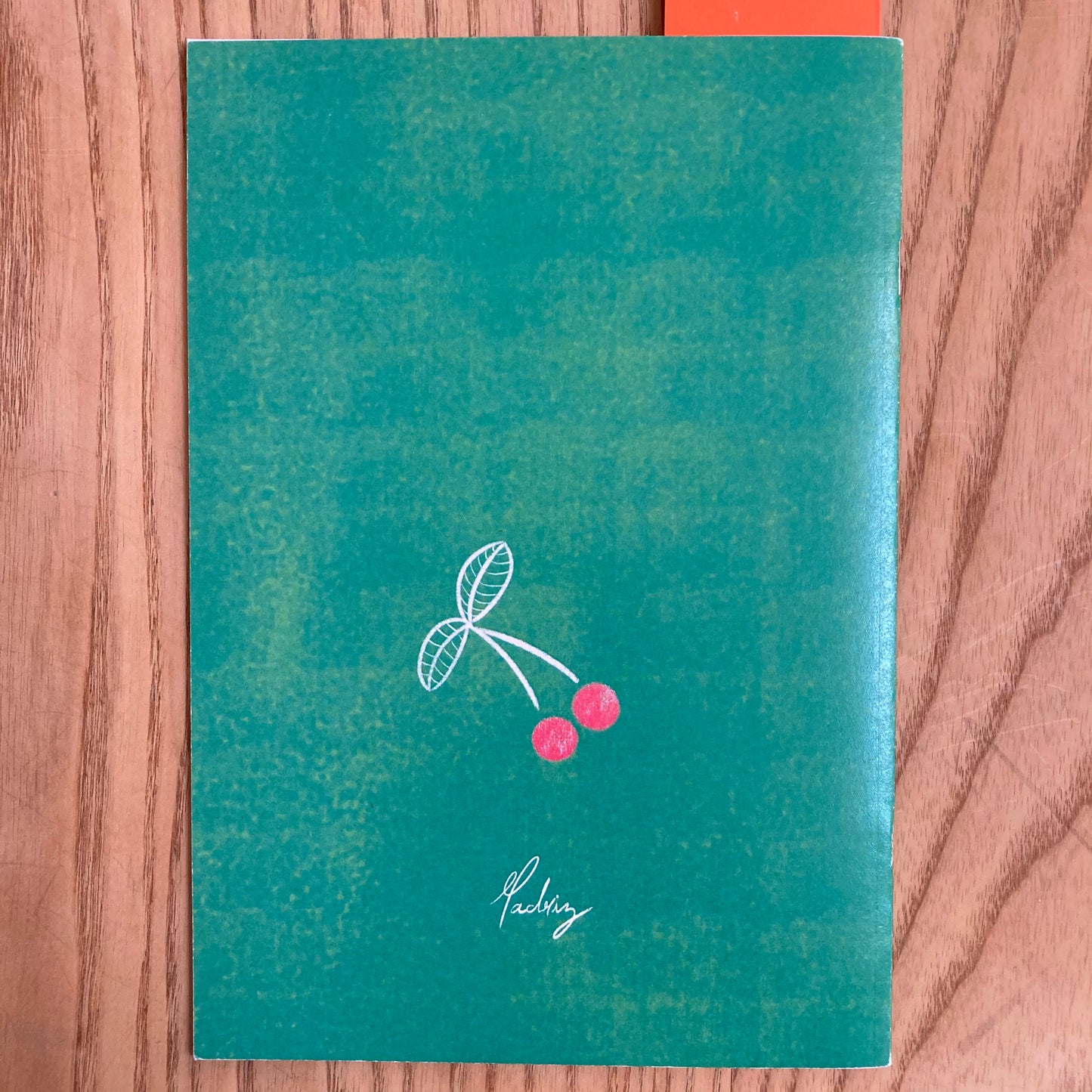 How To Take Care Of Your Human