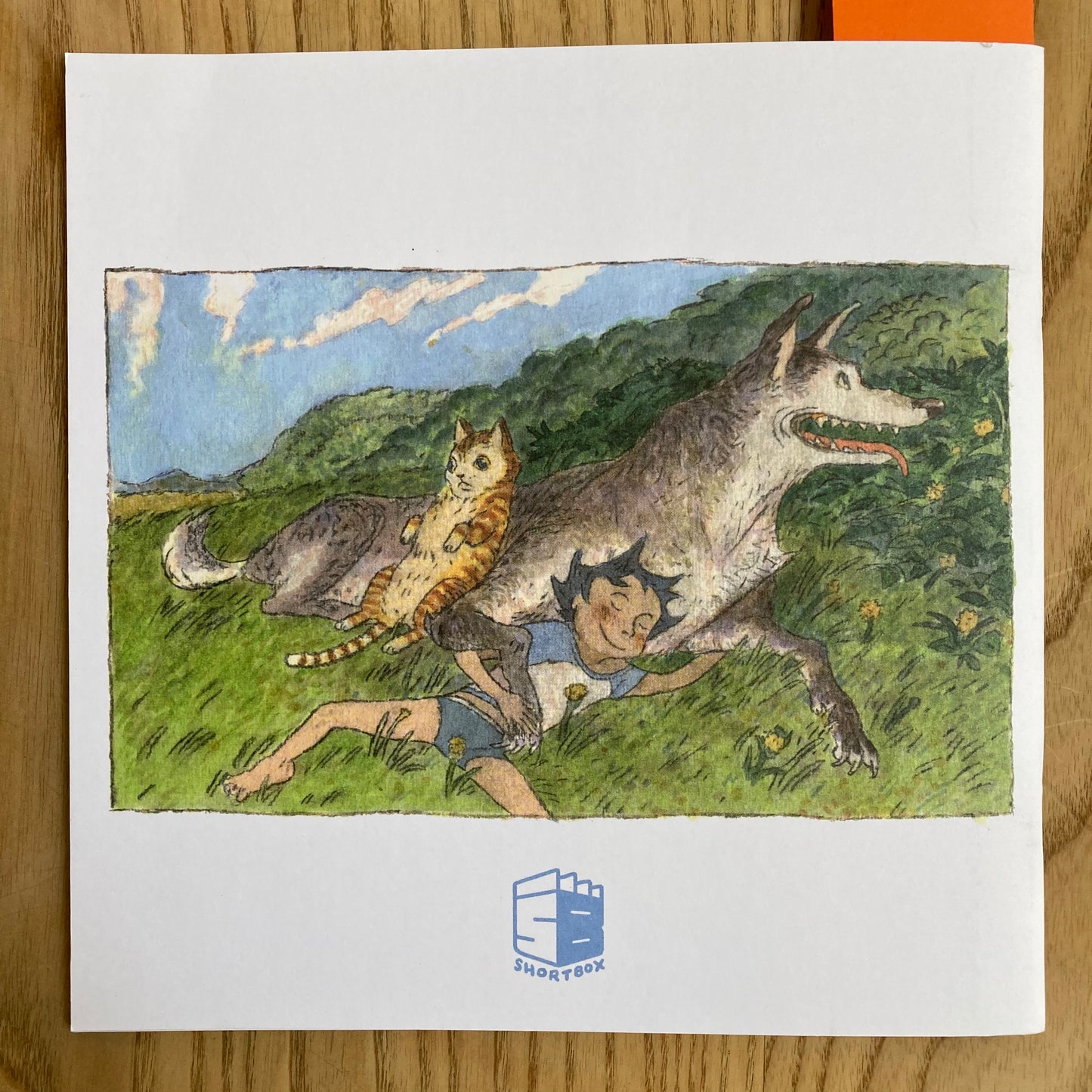 What Are You Thinking About?