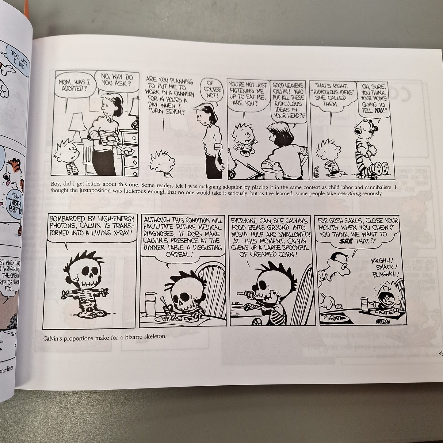 The Calvin and Hobbes Tenth Anniversary Book