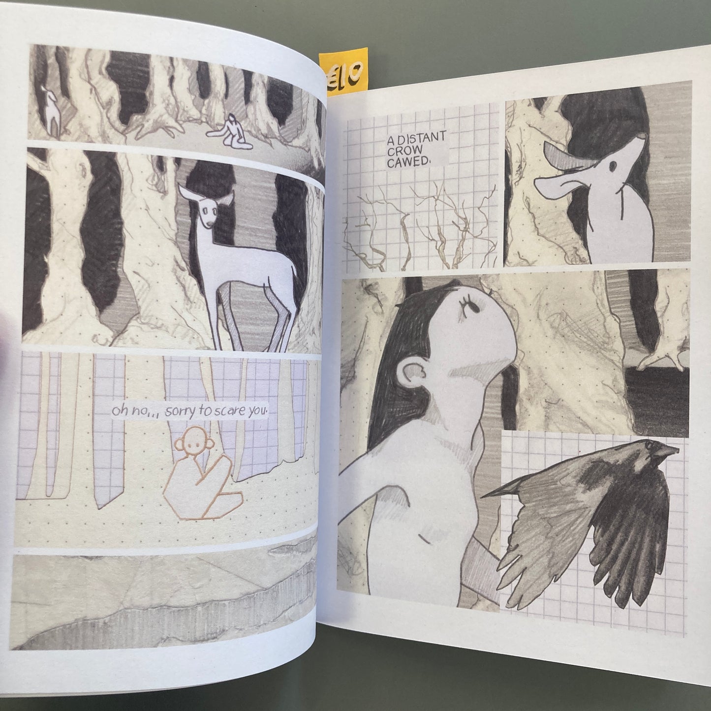 far away (Paper Cover)