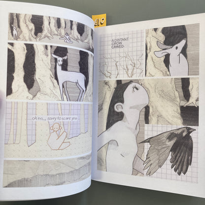 far away (Paper Cover)