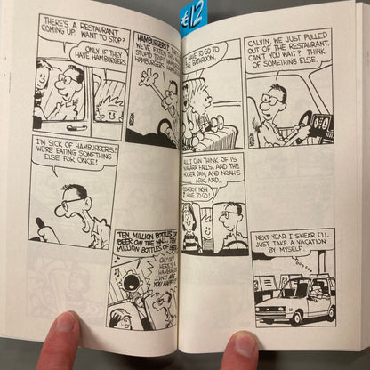 Calvin and Hobbes, 3: In the Shadow of the Night