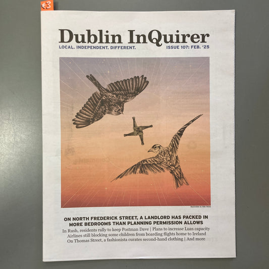 Dublin Inquirer: Issue 107