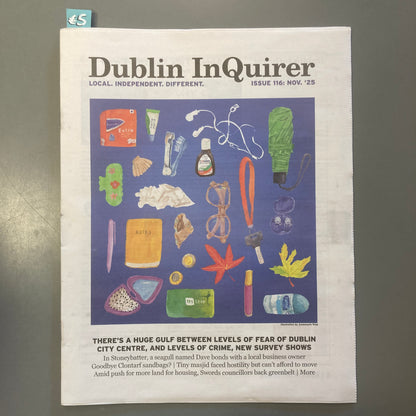Dublin Inquirer: Issue 116