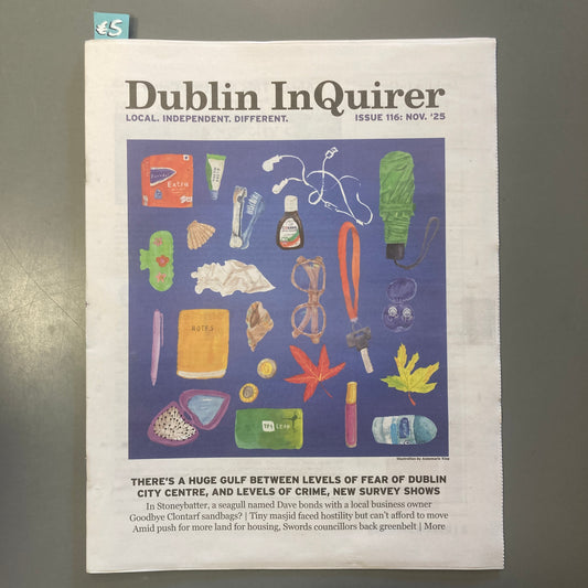 Dublin Inquirer: Issue 116