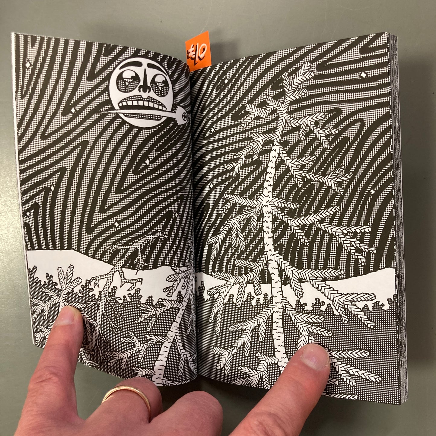 We See Stars Only at Night