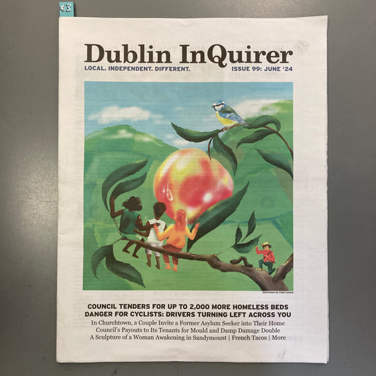 Dublin Inquirer: Issue 99