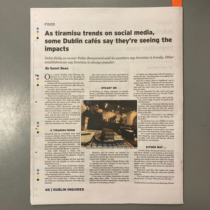 Dublin Inquirer: Issue 119