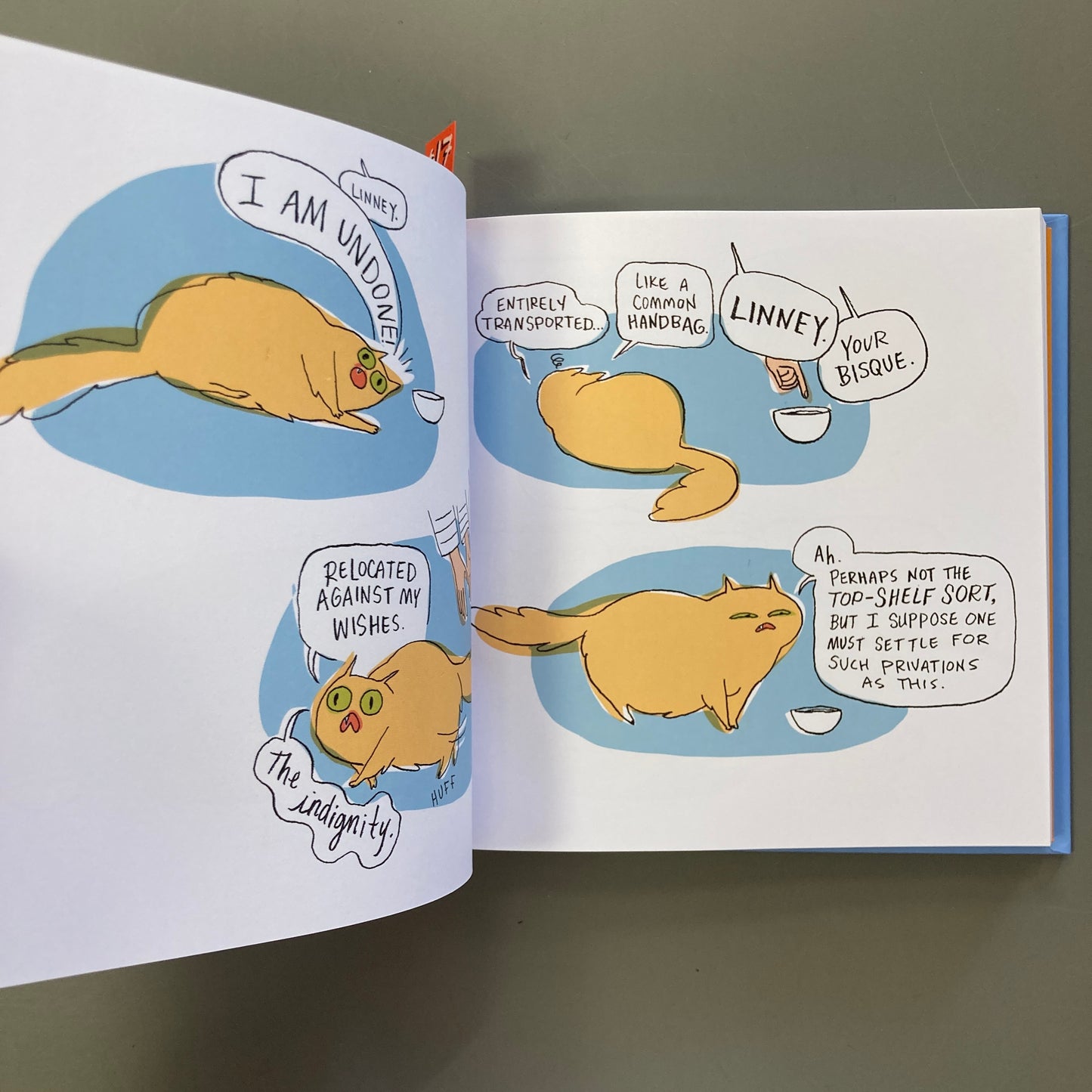 WOE: A Housecat’s Story of Despair