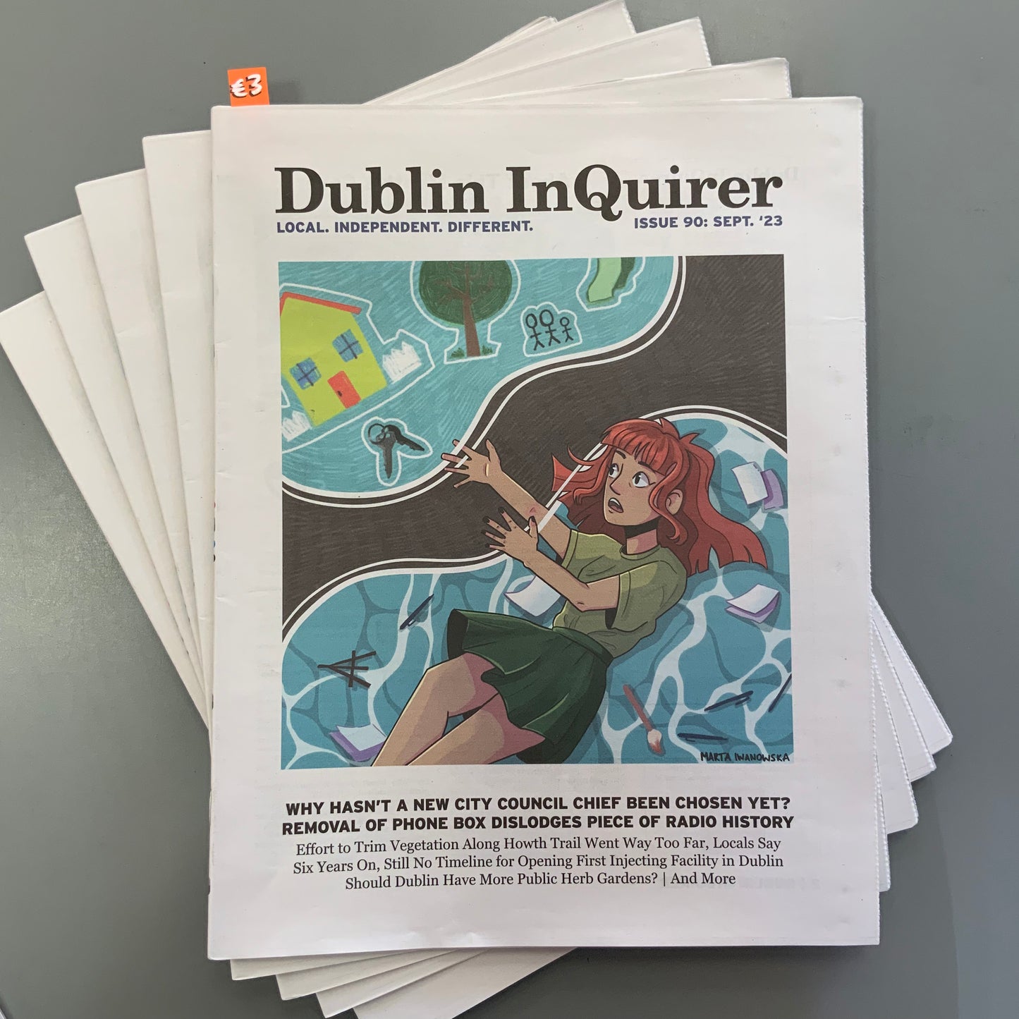 Dublin Inquirer: Issue 90