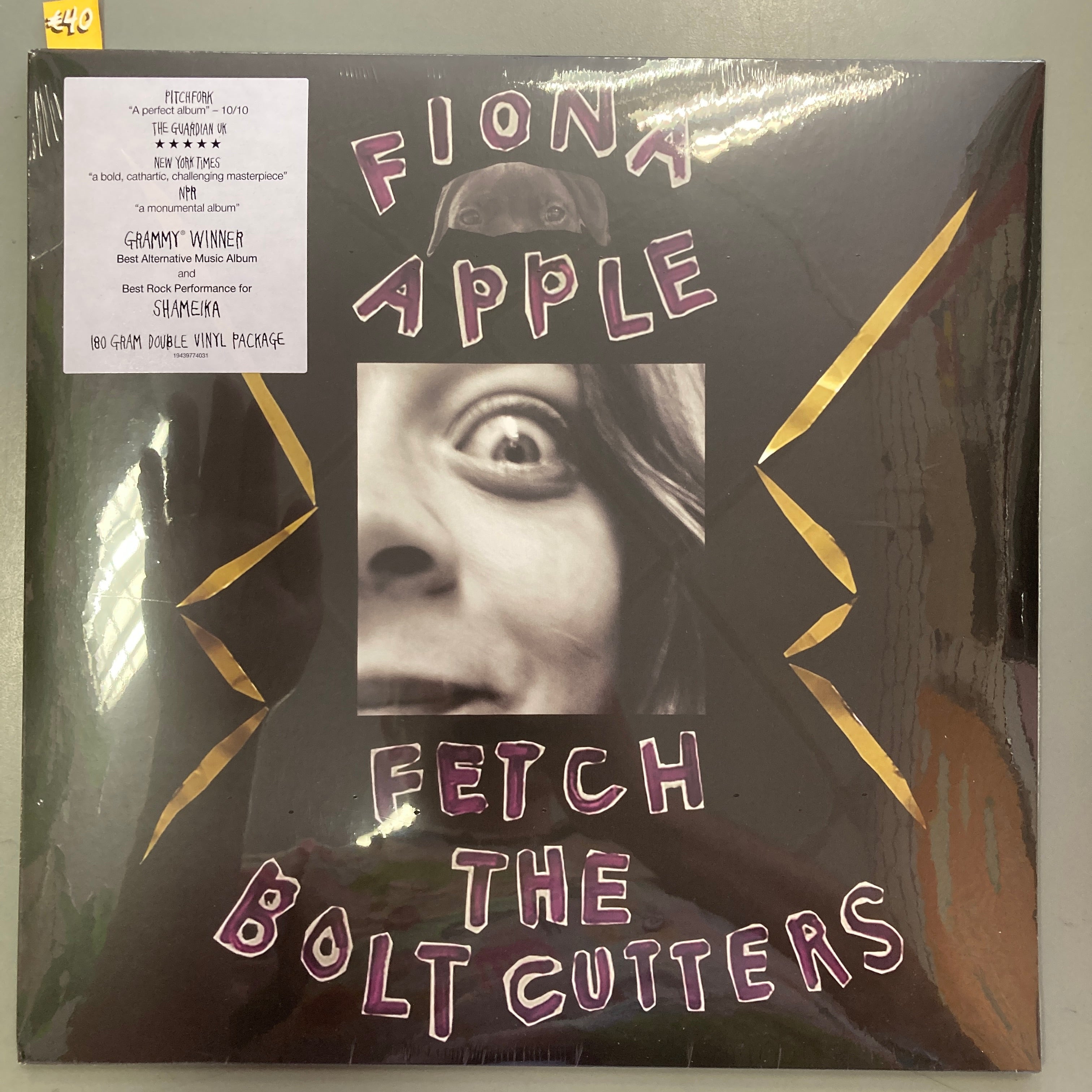 Deer Fetch Fetch the Boltcutters (Vinyl) – Little Deer Comics