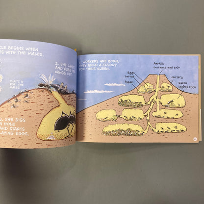 Ants Don’t Wear Pants!