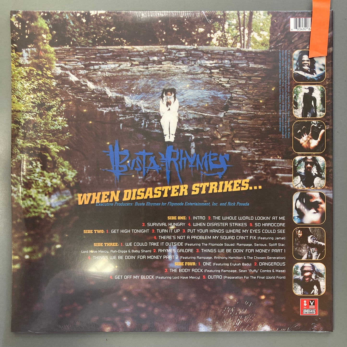 When Disaster Strikes (Vinyl)