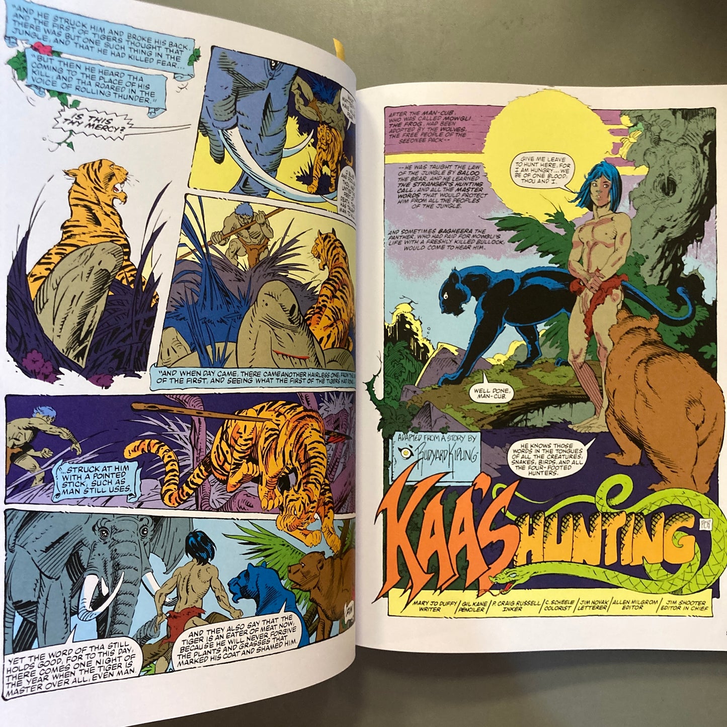Gil Kane Rarities, Vol 1