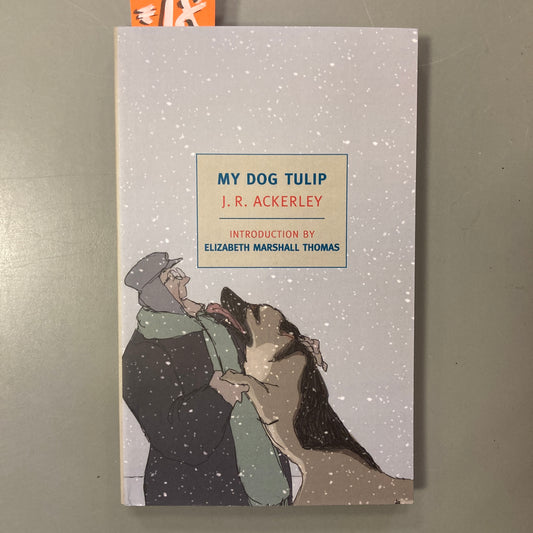 My Dog Tulip