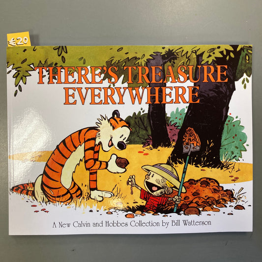 Calvin and Hobbes: There's Treasure Everywhere