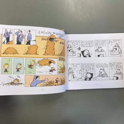 Calvin and Hobbes: There's Treasure Everywhere