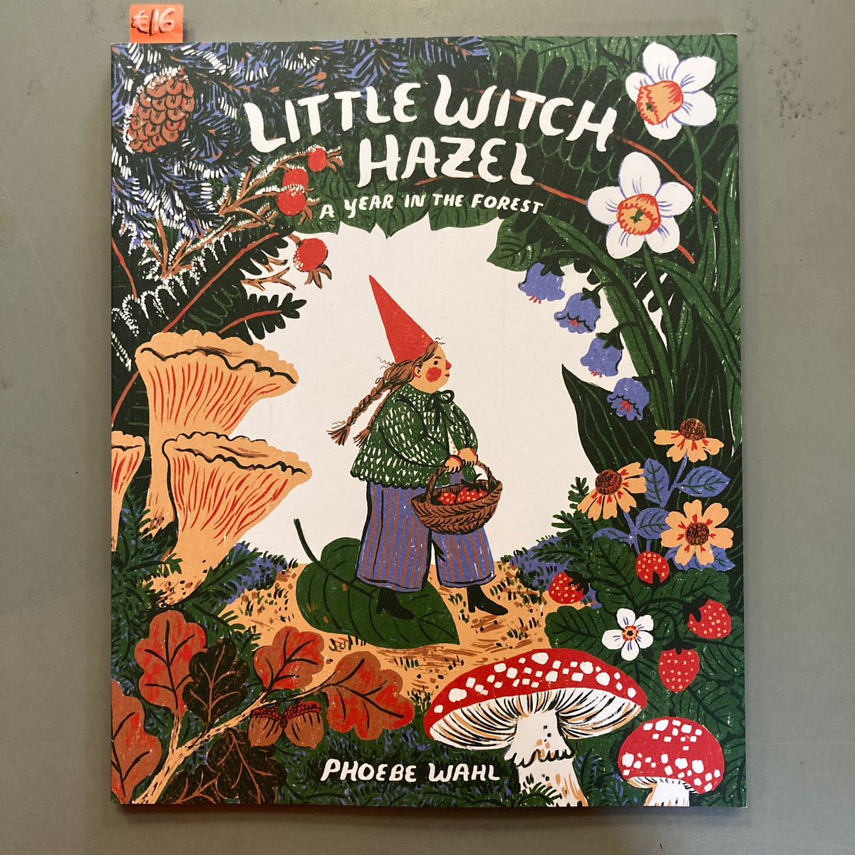 Little Witch Hazel