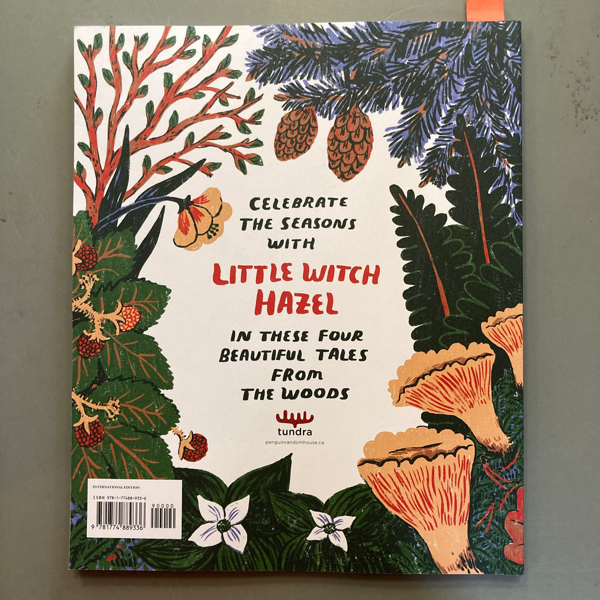 Little Witch Hazel