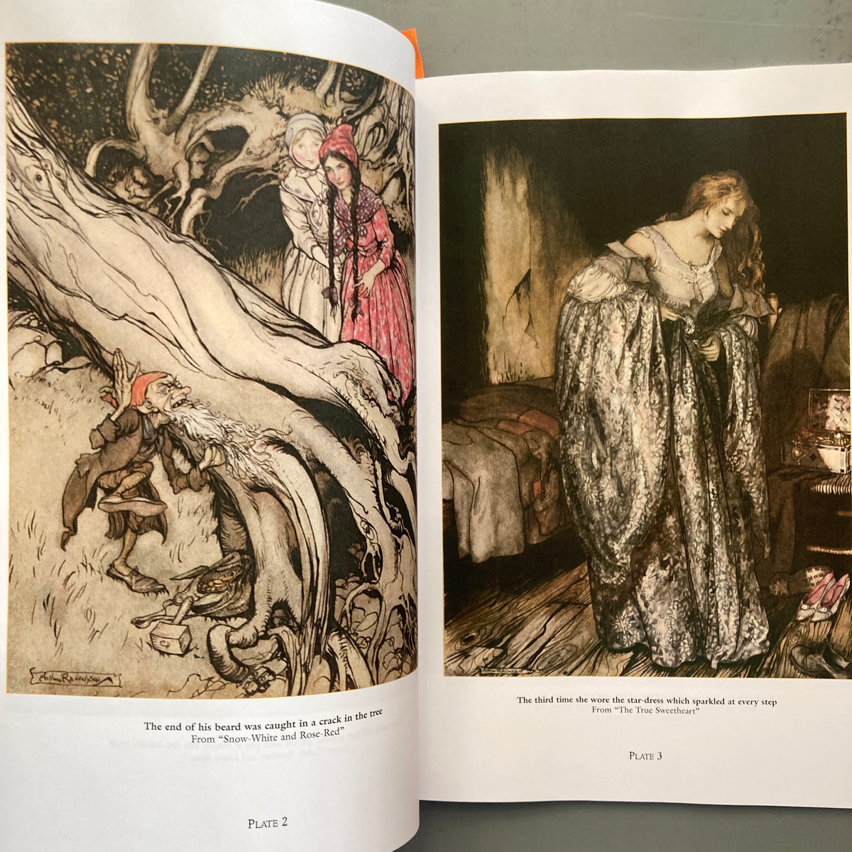 Rackham's Fairy Tale Illustrations