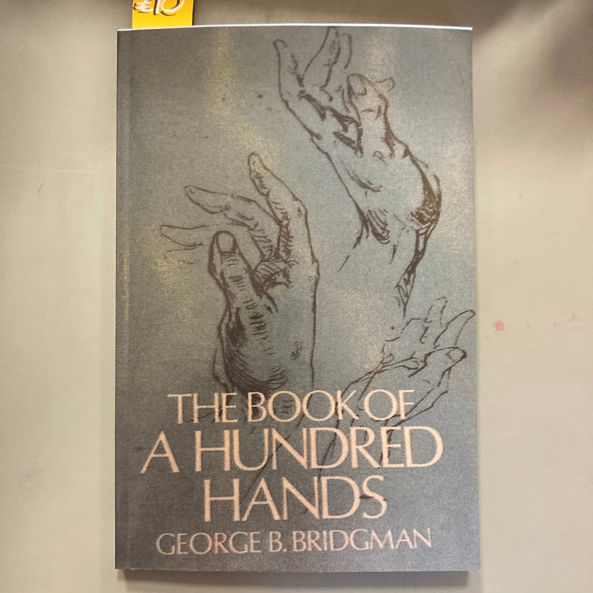 The Book of a Hundred Hands (Must Have Books Edition)