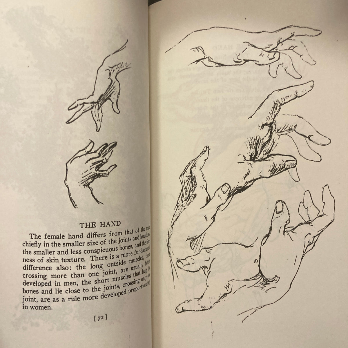 The Book of a Hundred Hands (Must Have Books Edition)