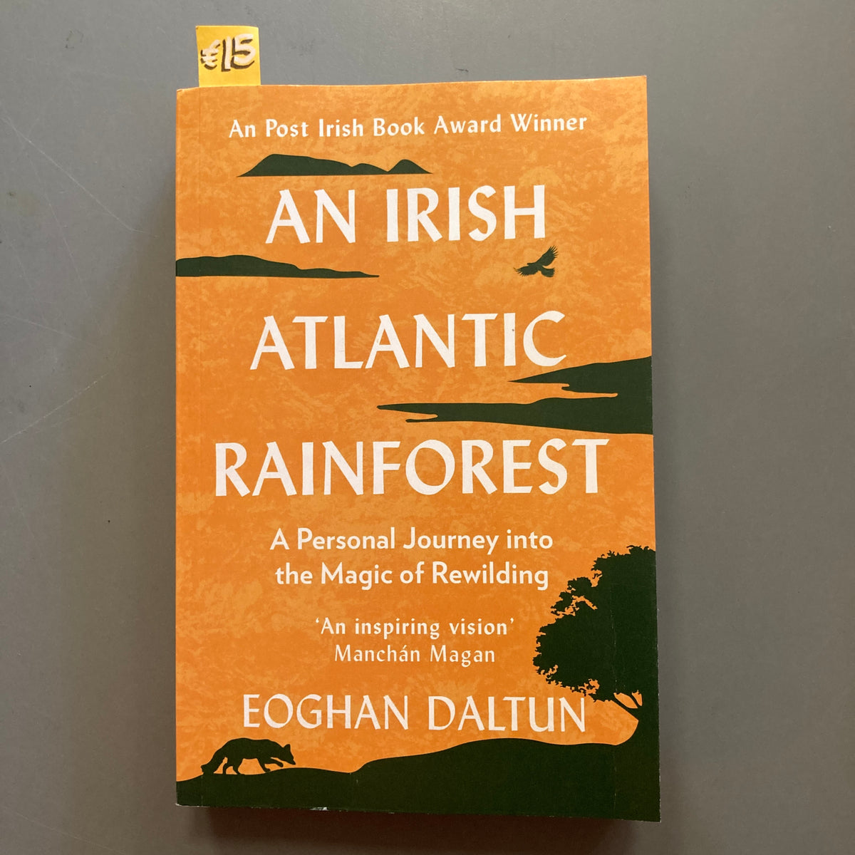 An Irish Atlantic Rainforest