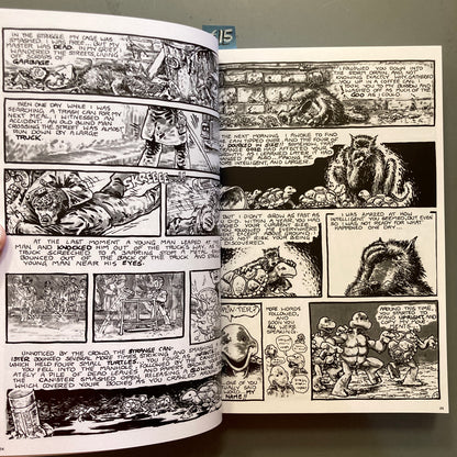 Teenage Mutant Ninja Turtles: The Mirage Years 1984-1987