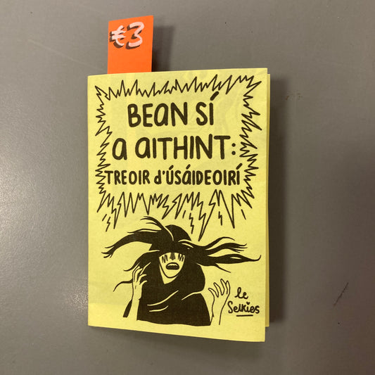 Bean sí a Aithint: Treoir d'Úsáideoirí