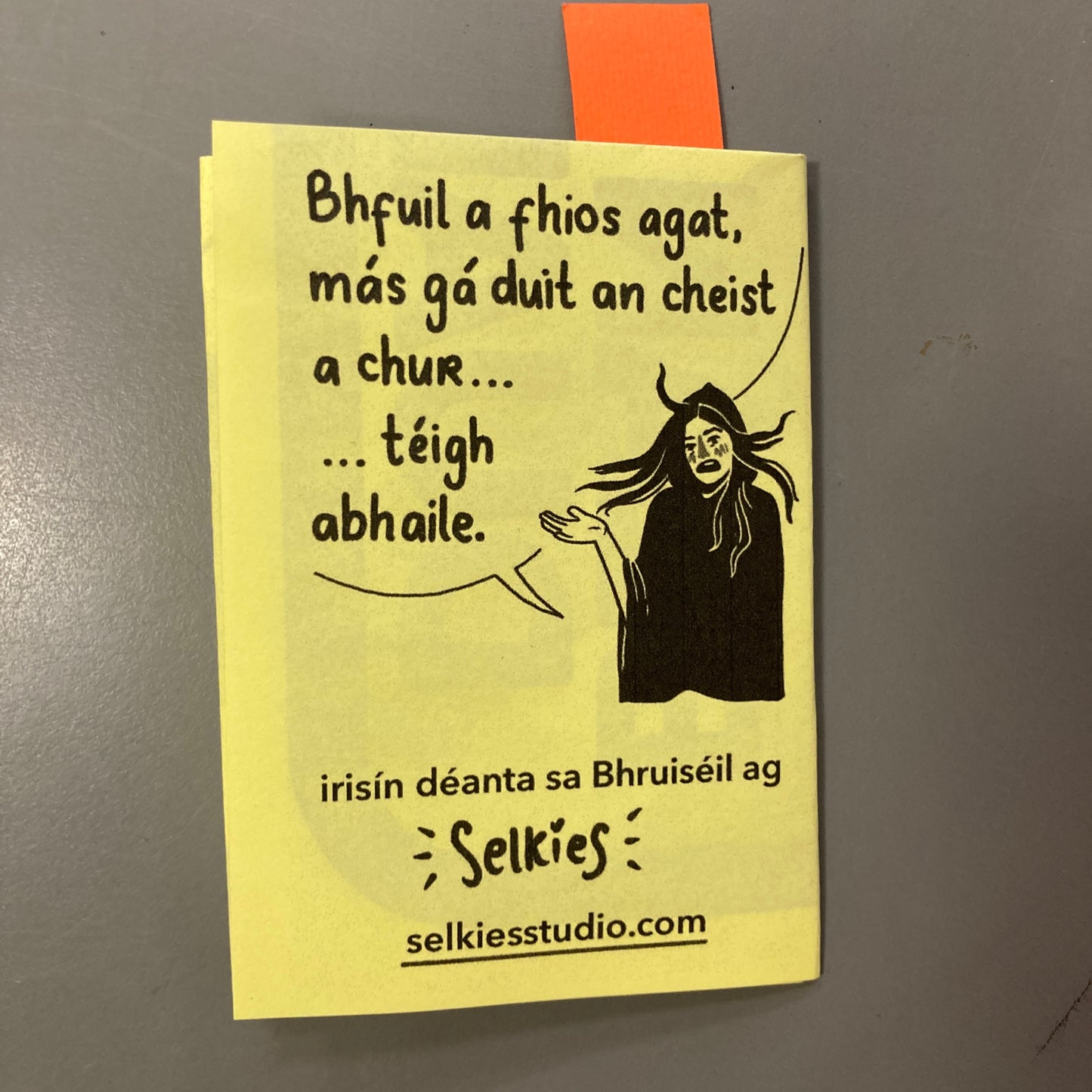 Bean sí a Aithint: Treoir d'Úsáideoirí