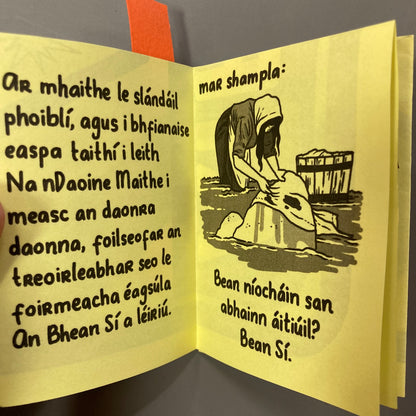 Bean sí a Aithint: Treoir d'Úsáideoirí