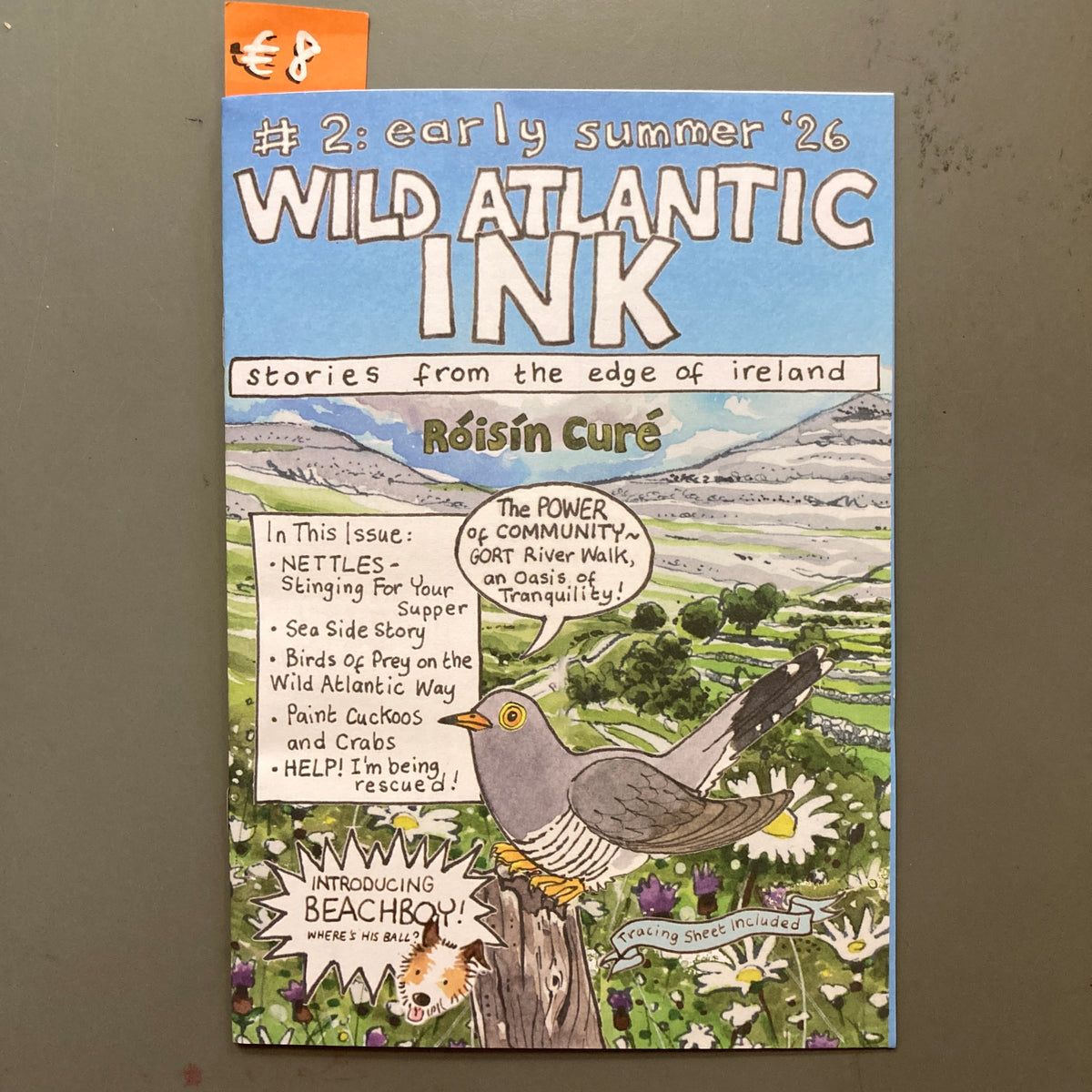 Wild Atlantic Ink, #2: Early Summer '26