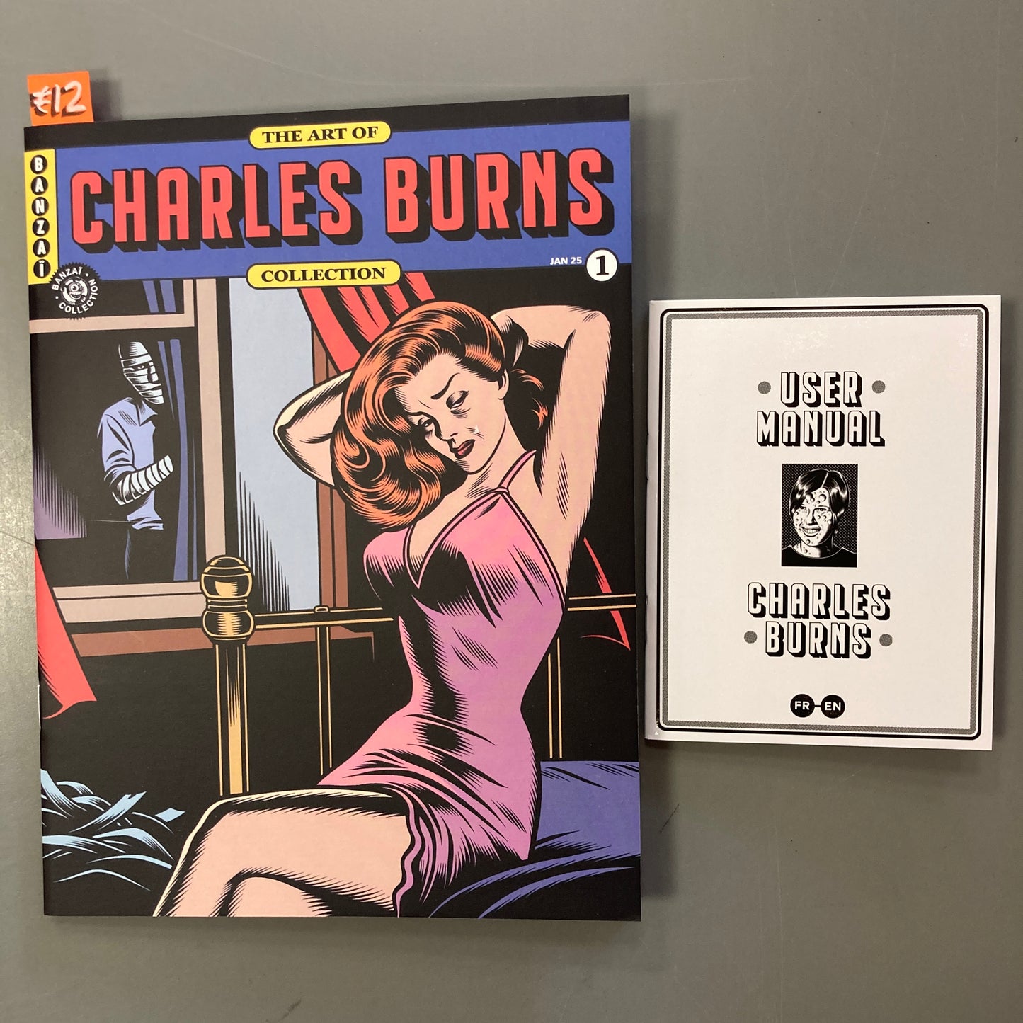 The Art of 1: Charles Burns