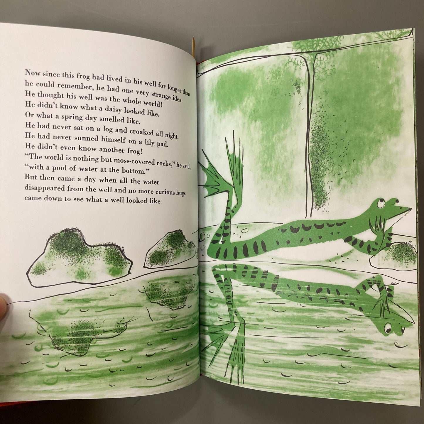 The Frog in the Well