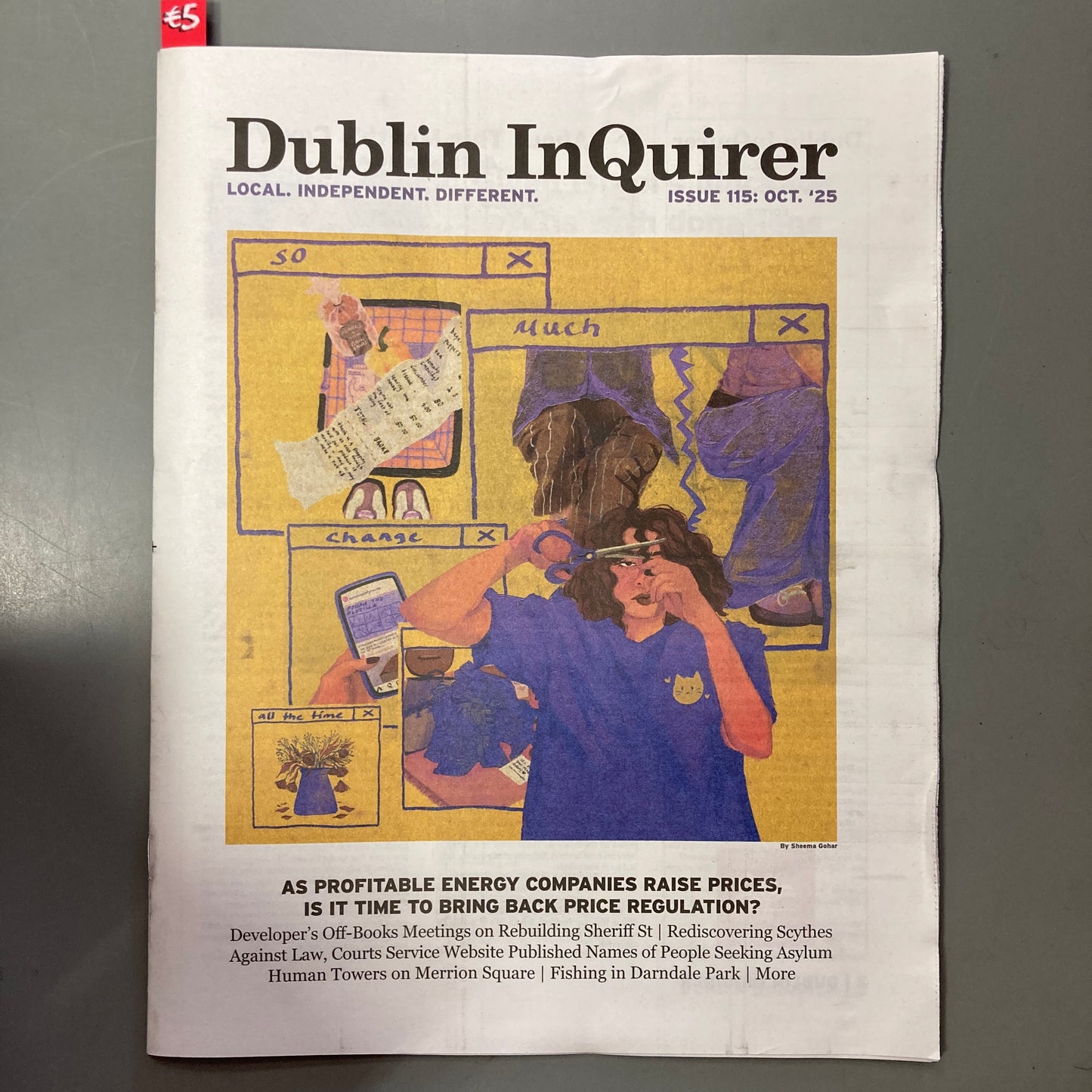 Dublin Inquirer: Issue 115