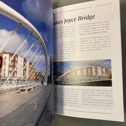 Bridges of Dublin City