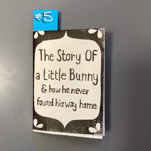 The Story of a Little Bunny & how he never found his way home