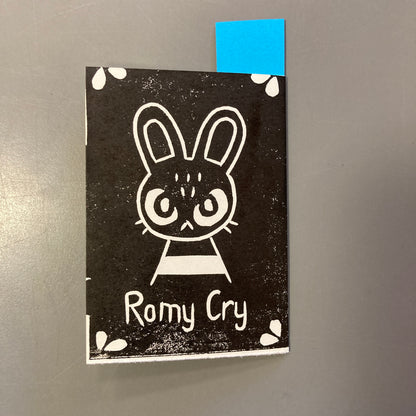 The Story of a Little Bunny & how he never found his way home