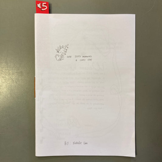 June 2025 Memories, a comic zine