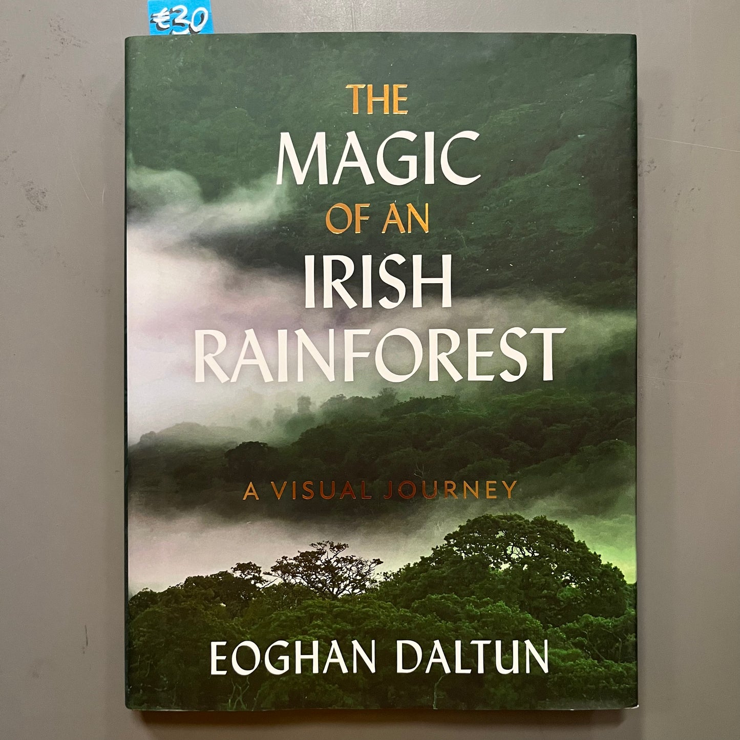 The Magic of the Irish Rainforest