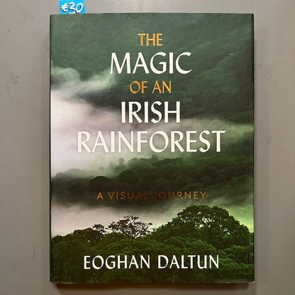 The Magic of the Irish Rainforest