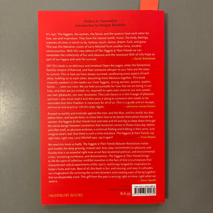 The Faggots and their Friends Between Revolutions