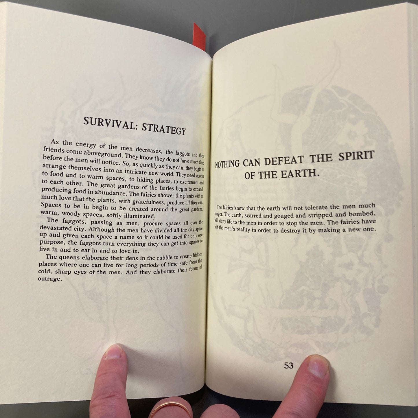 The Faggots and their Friends Between Revolutions