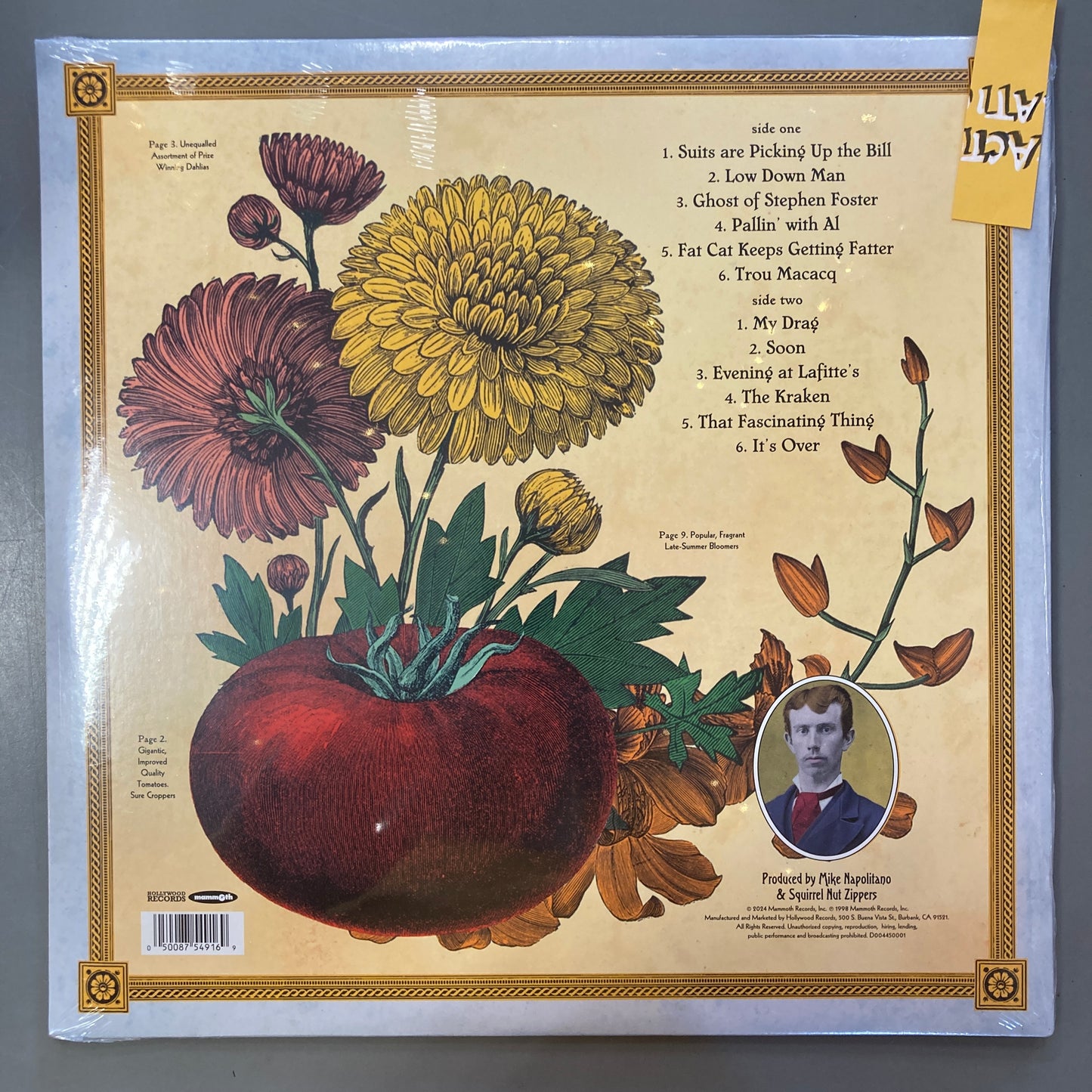 Perennial Favorites (Vinyl)