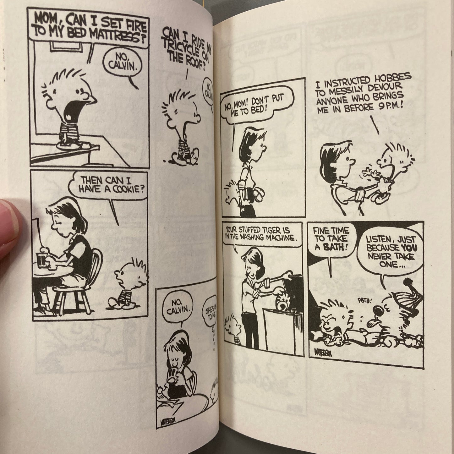 Calvin and Hobbes 1: Thereby Hangs a Tale